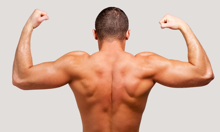 vypracovaná záda nahého muže