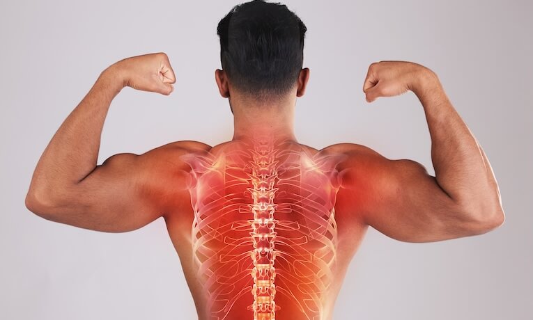 sportovní záda muže s graficky znázorněnou páteří a žebry